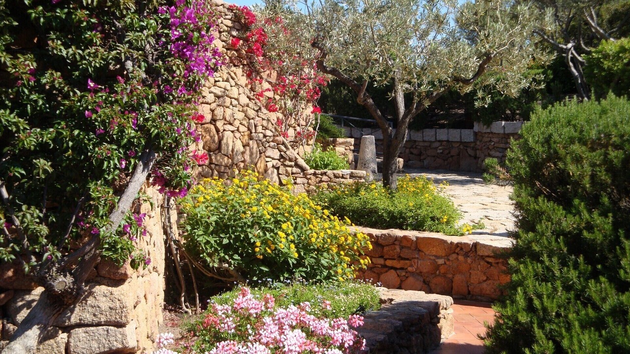 Photo of Outdoor in Porto San Paolo