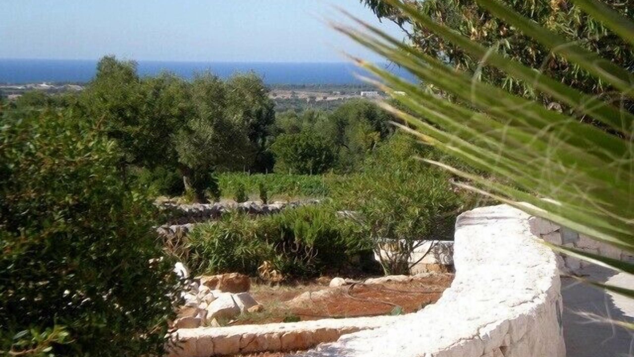 Photo of Outdoor in Carovigno