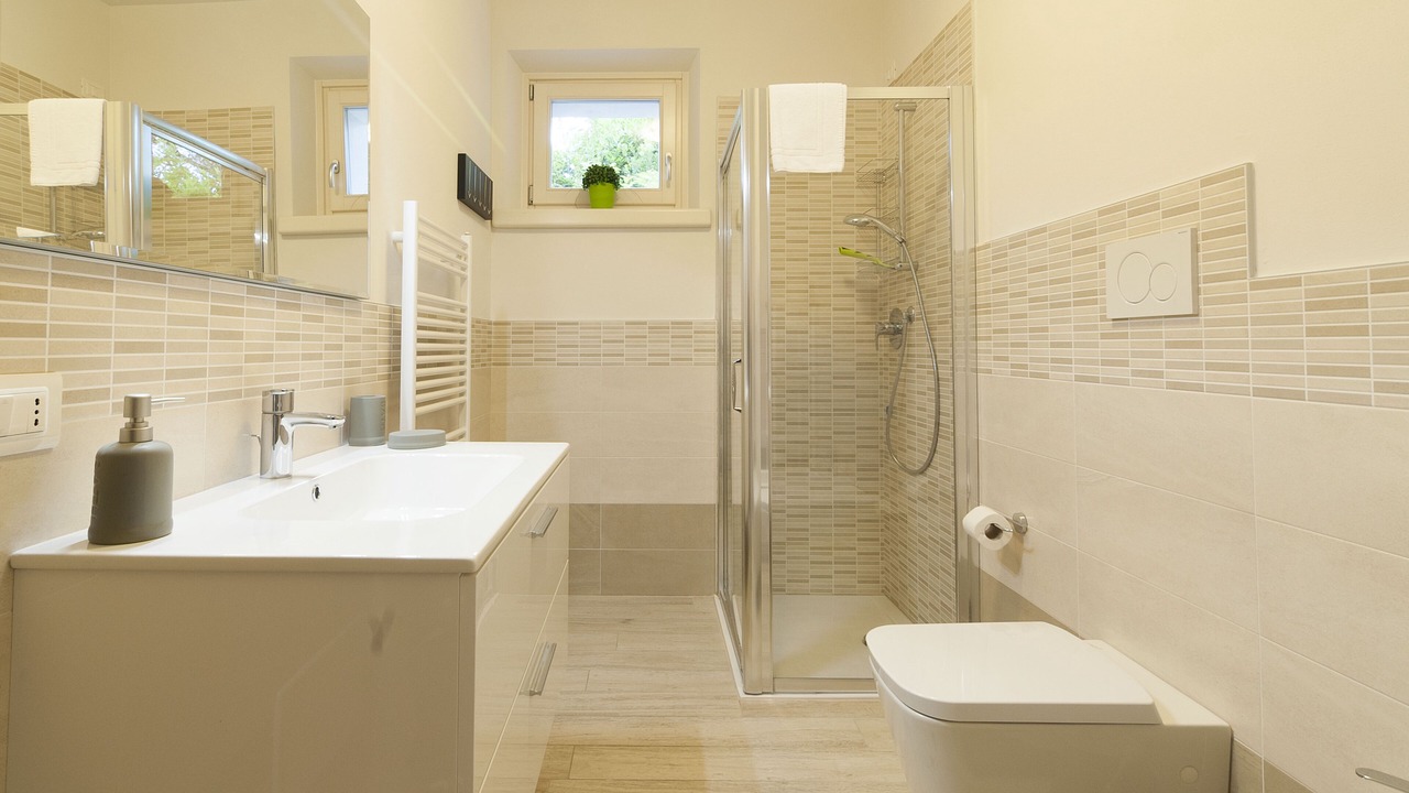 Photo of Bathroom in Albisano