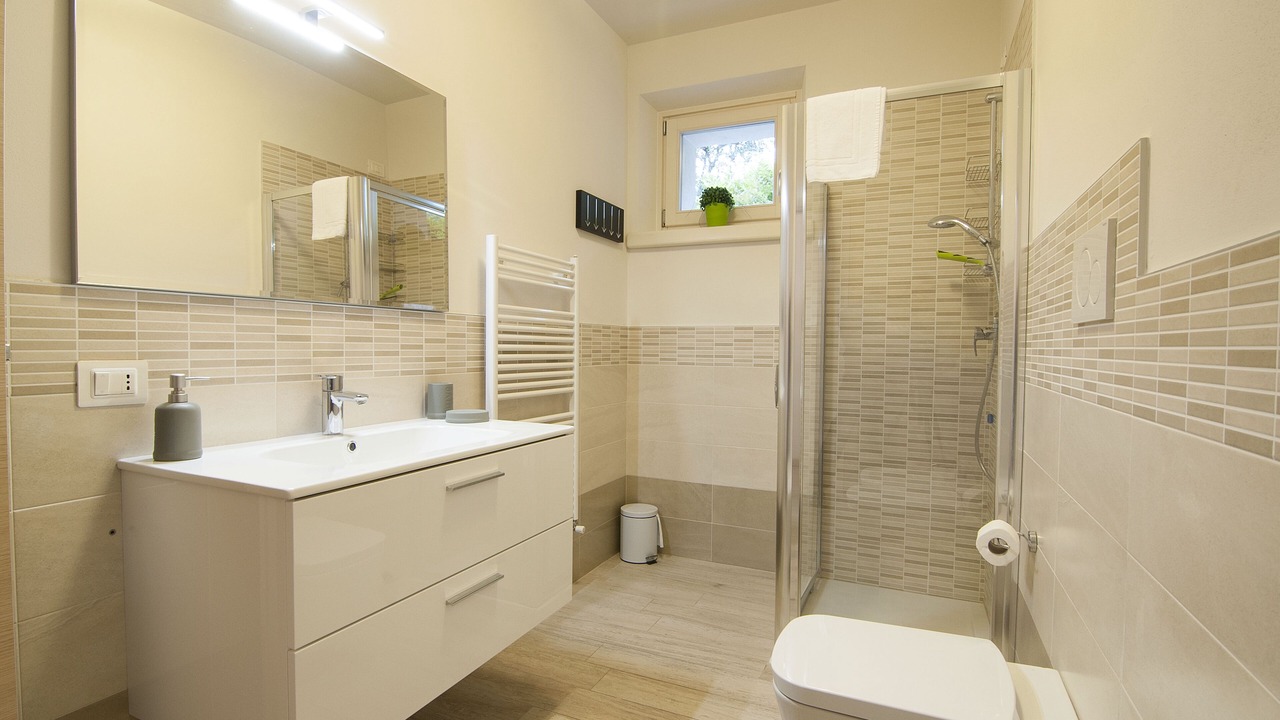 Photo of Bathroom in Albisano