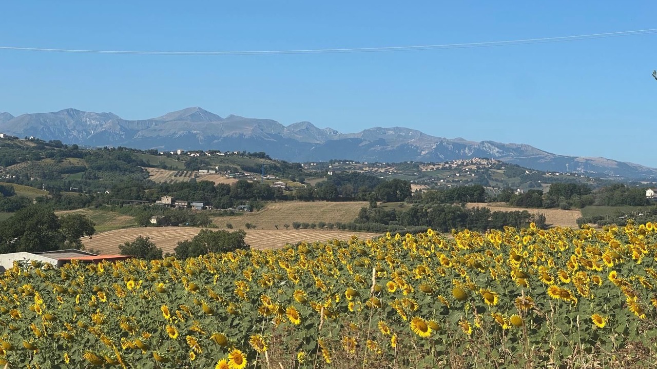 Photo of Others in Petriolo