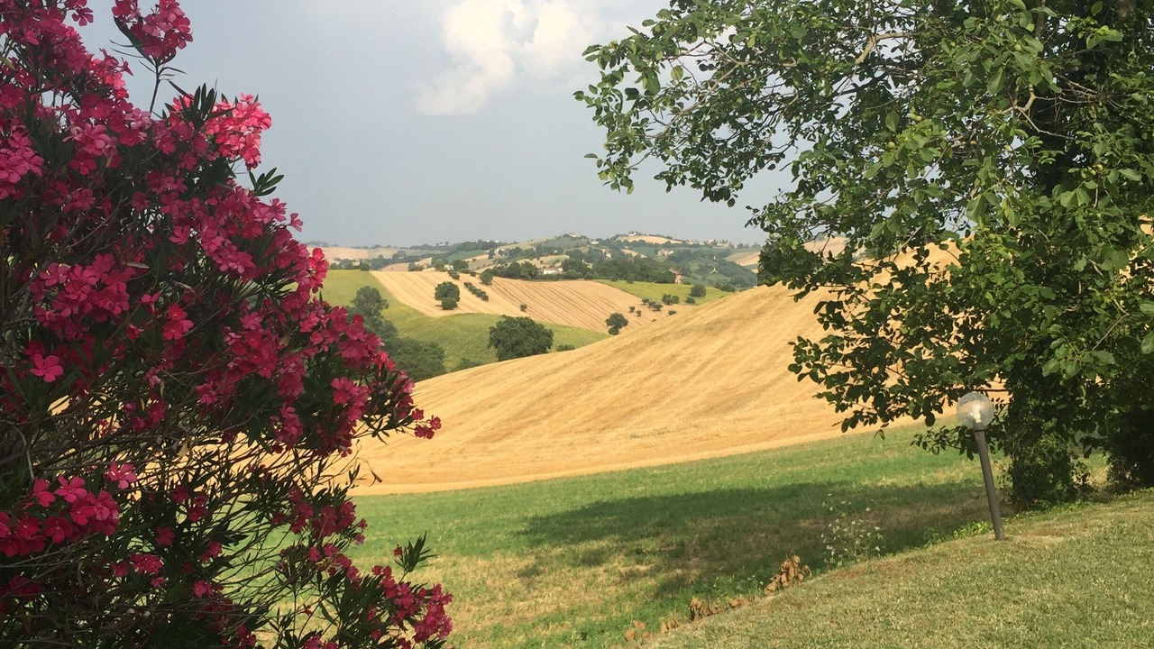 Photo of Outdoor in Petriolo
