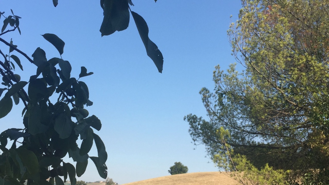 Photo of Outdoor in Petriolo