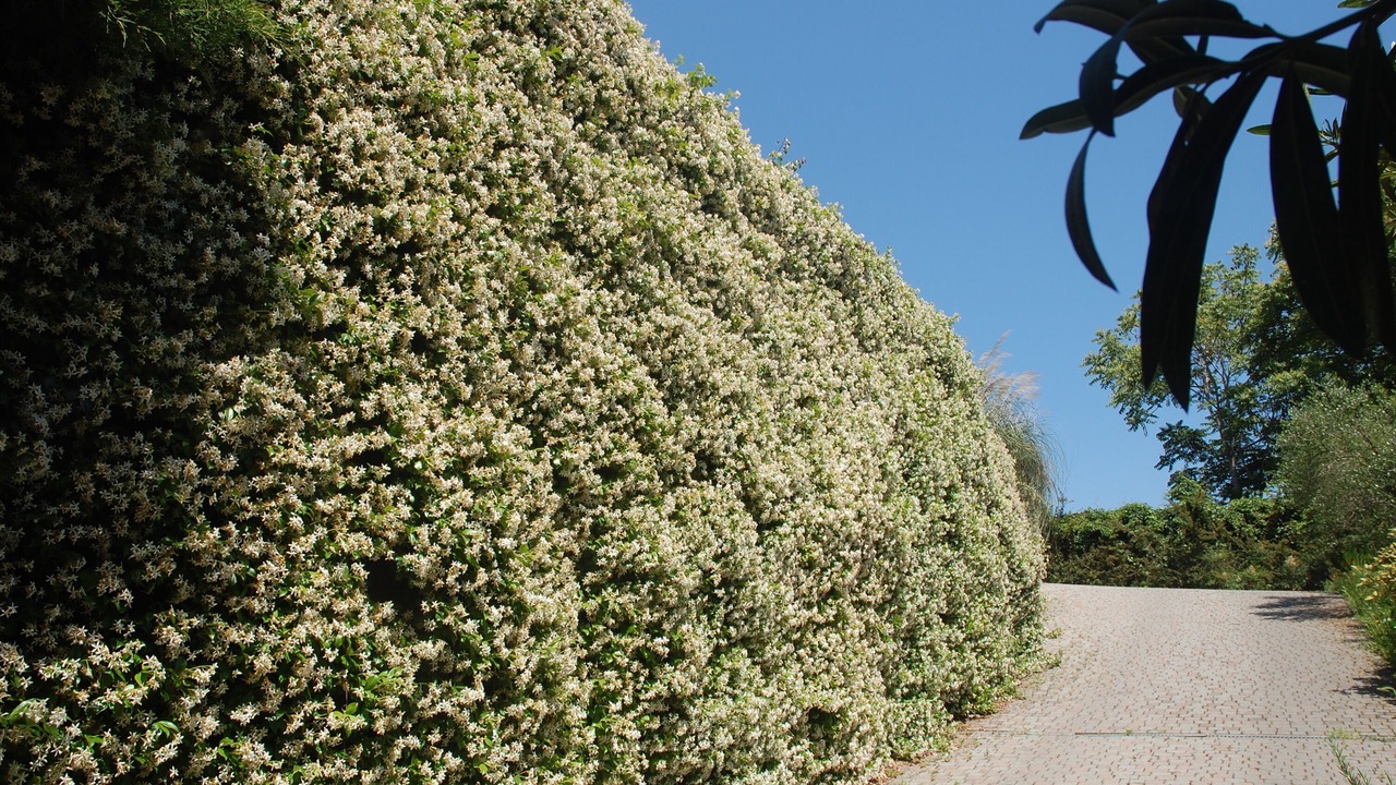Photo of Outdoor in Tuscolano