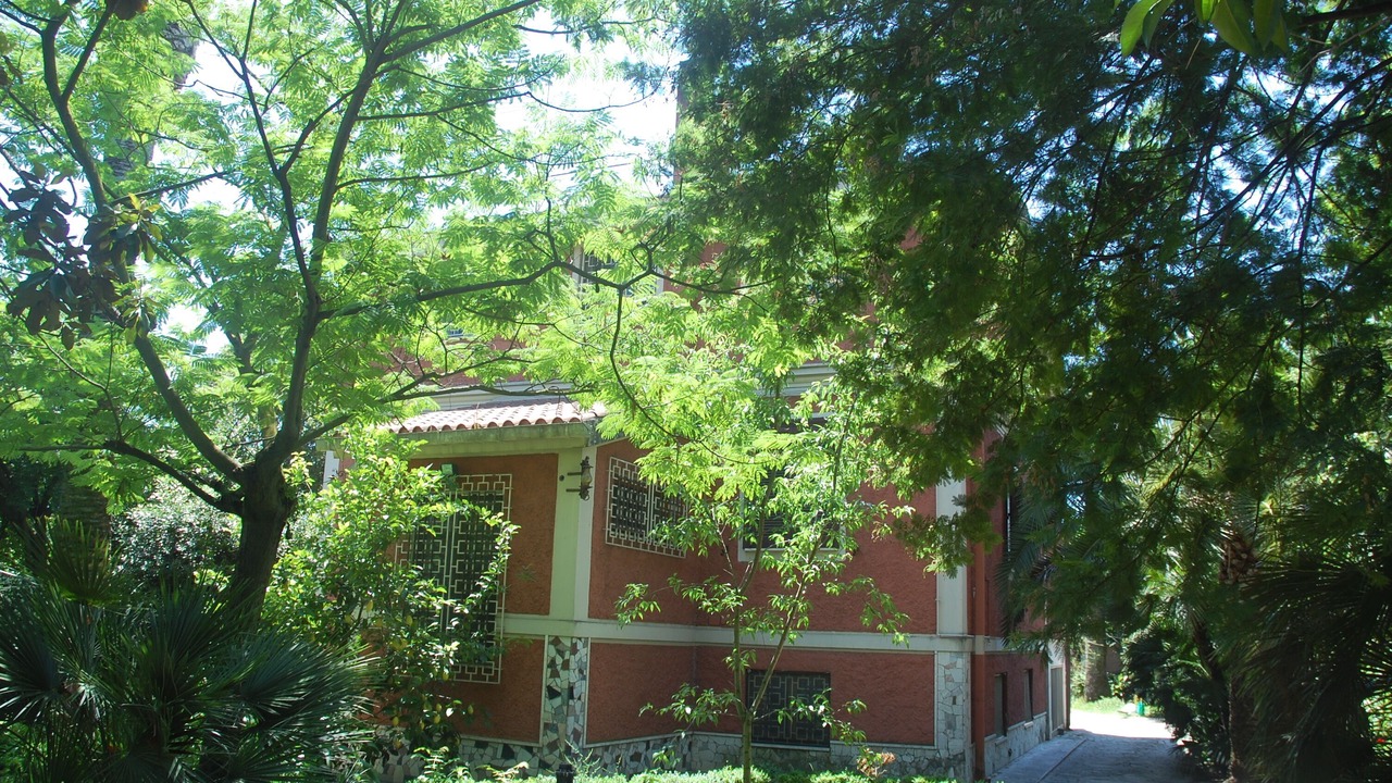 Photo of Others in Tuscolano