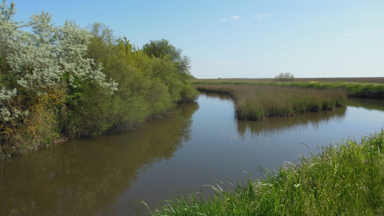 Photo of Outdoor in Codevigo