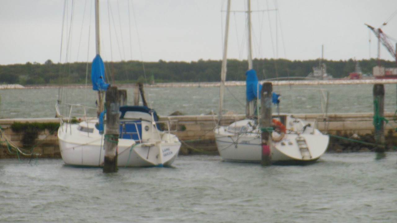 Photo of Others in Codevigo