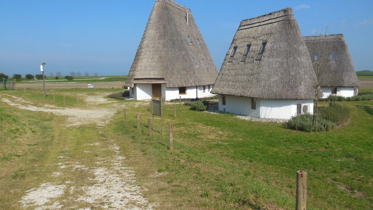 Photo of Outdoor in Codevigo
