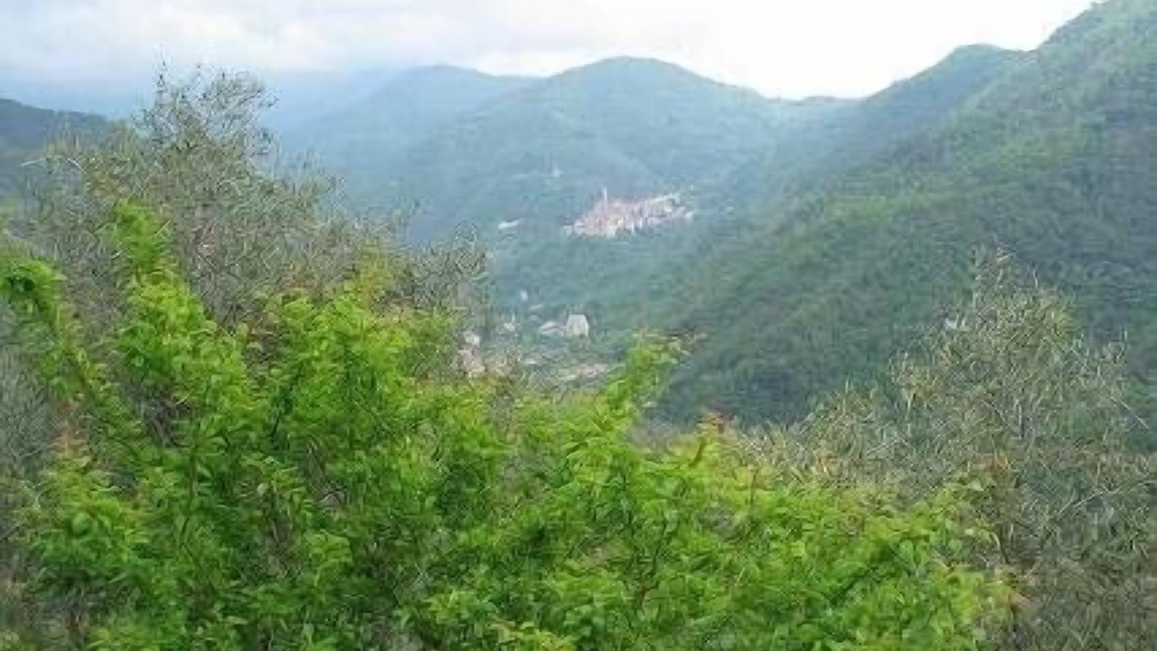 Photo of Others in Pigna