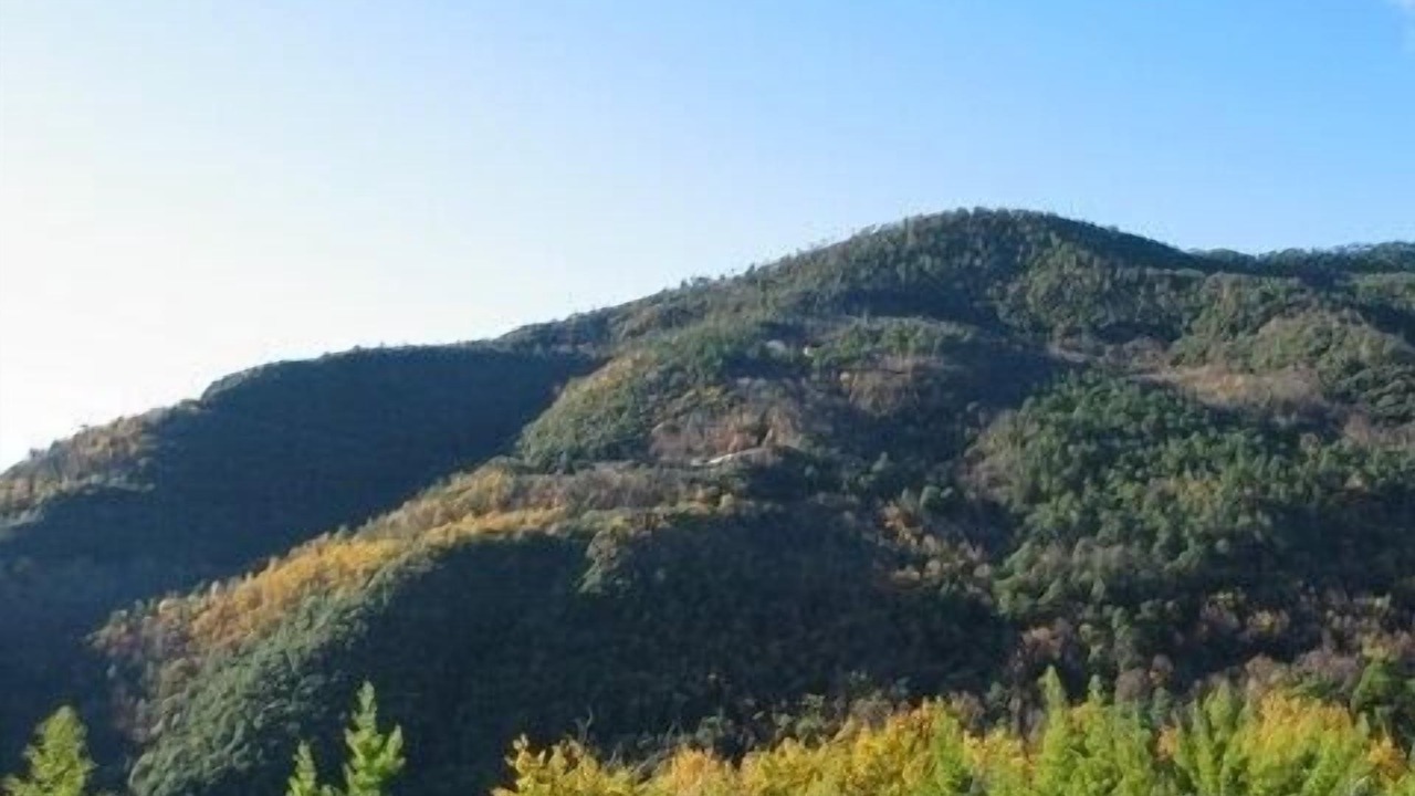 Photo of Others in Pigna