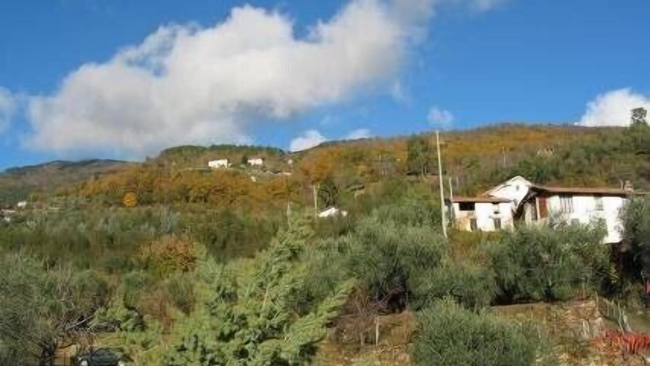Photo of Others in Pigna