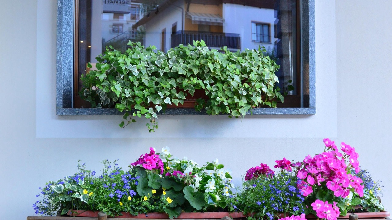 Photo of Outdoor in Croveo