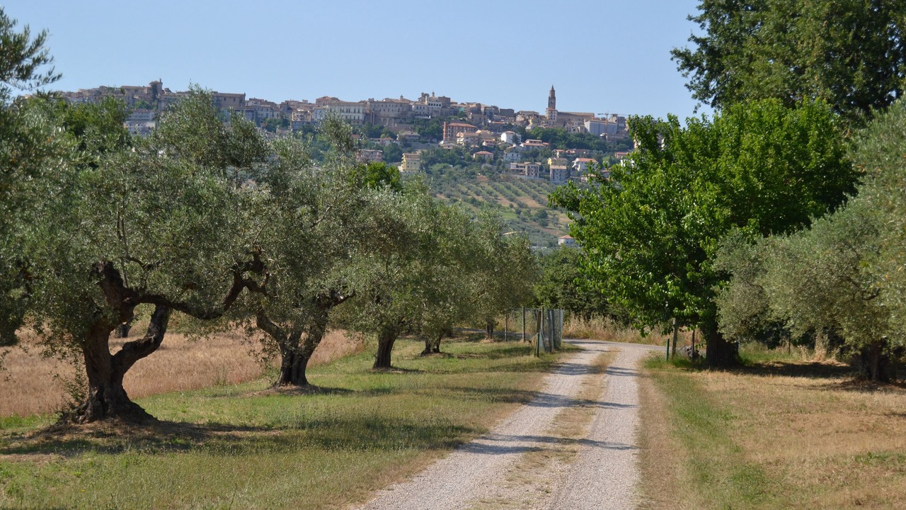Photo of Outdoor in Citta Sant'Angelo