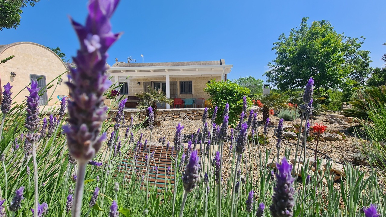 Photo of Outdoor in Martina Franca