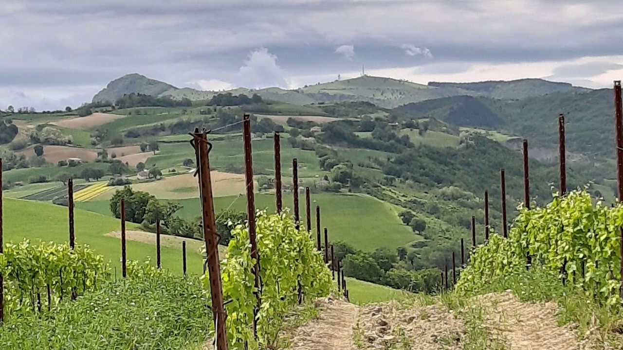 Photo of Outdoor in Sassoferrato