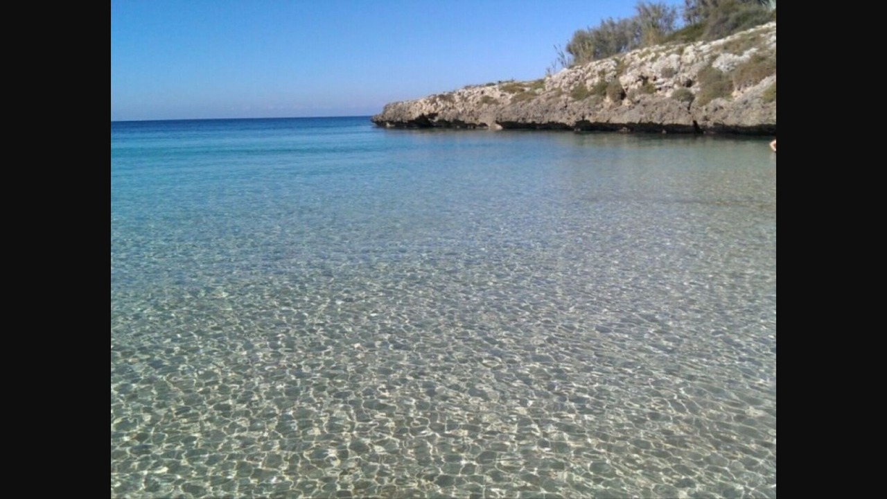 Photo of Others in Lido Silvana