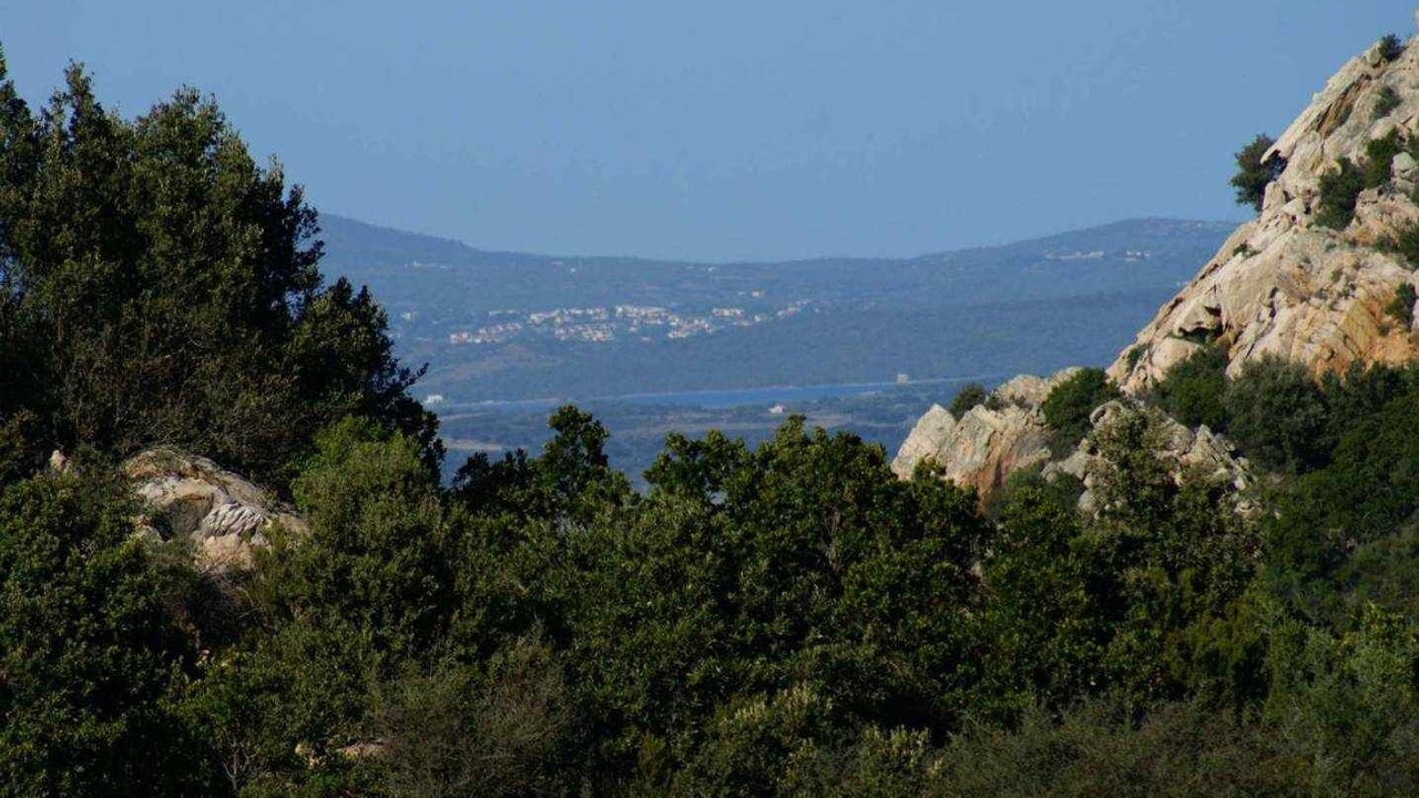 Photo of Others in Loiri Porto San Paolo