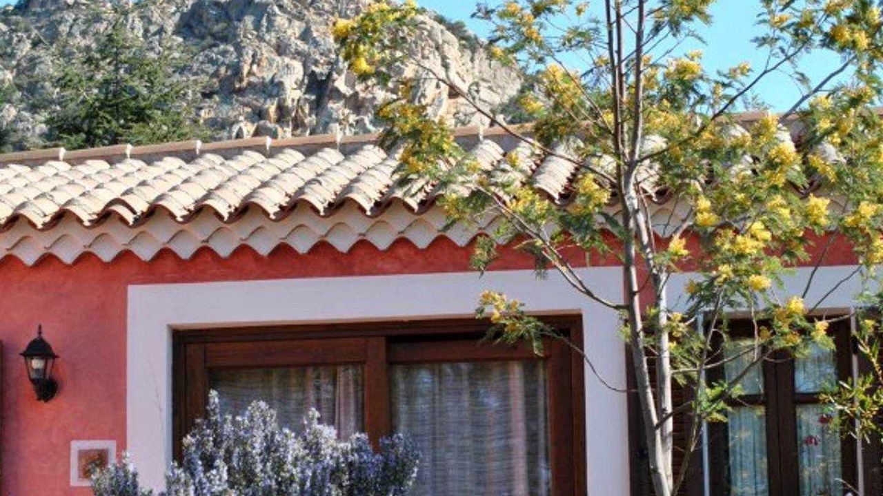 Photo of Outdoor in Loiri Porto San Paolo