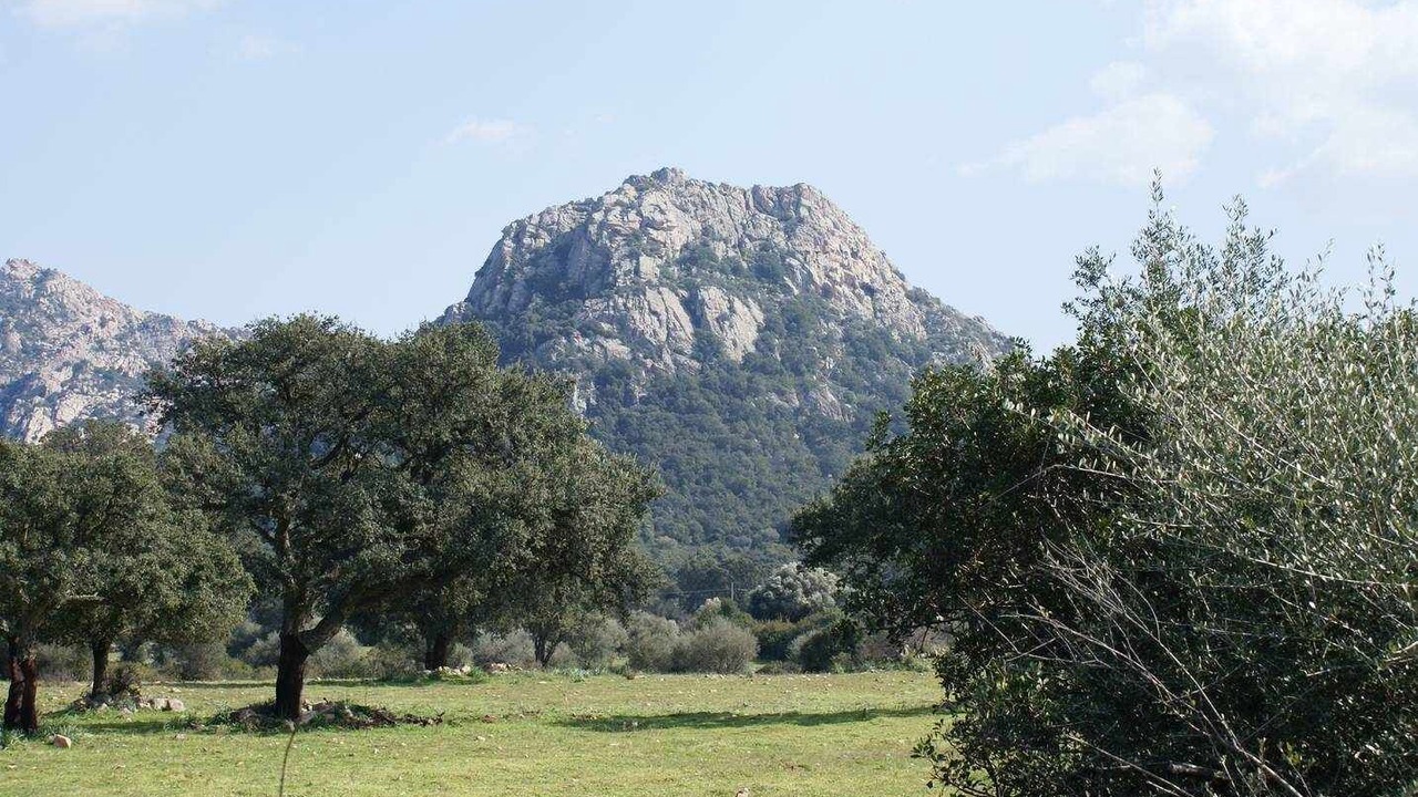 Photo of Outdoor in Loiri Porto San Paolo