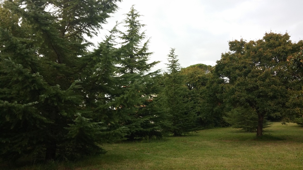 Photo of Outdoor in Tregozzano