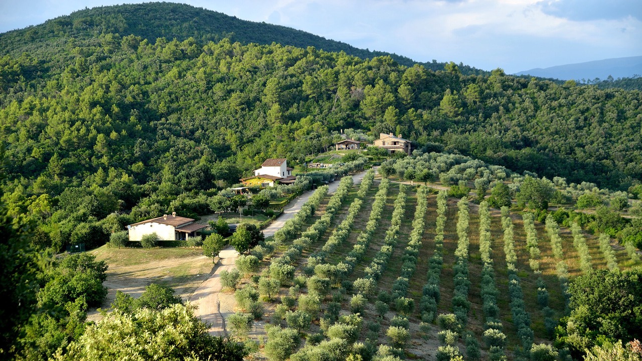Photo of Outdoor in Cantalupo