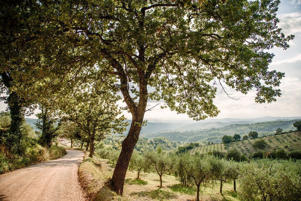 Photo of Outdoor in Cantalupo