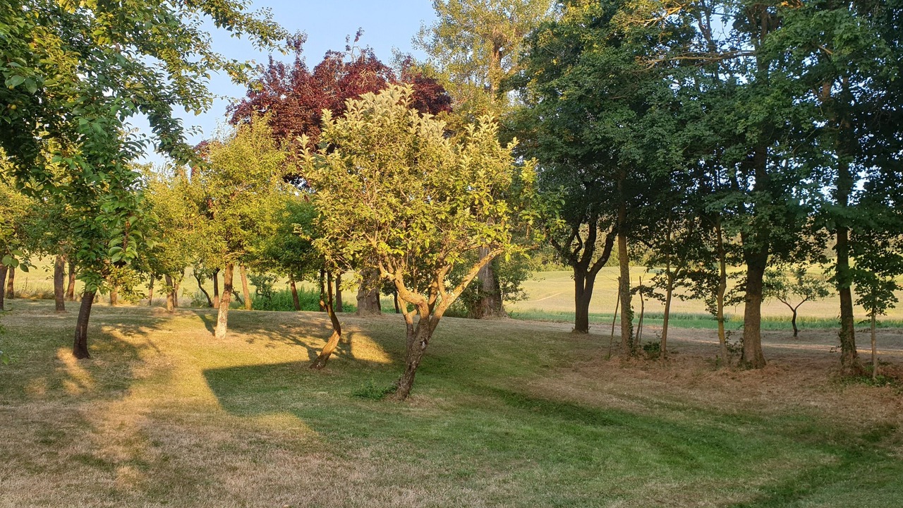 Photo of Outdoor in Toano