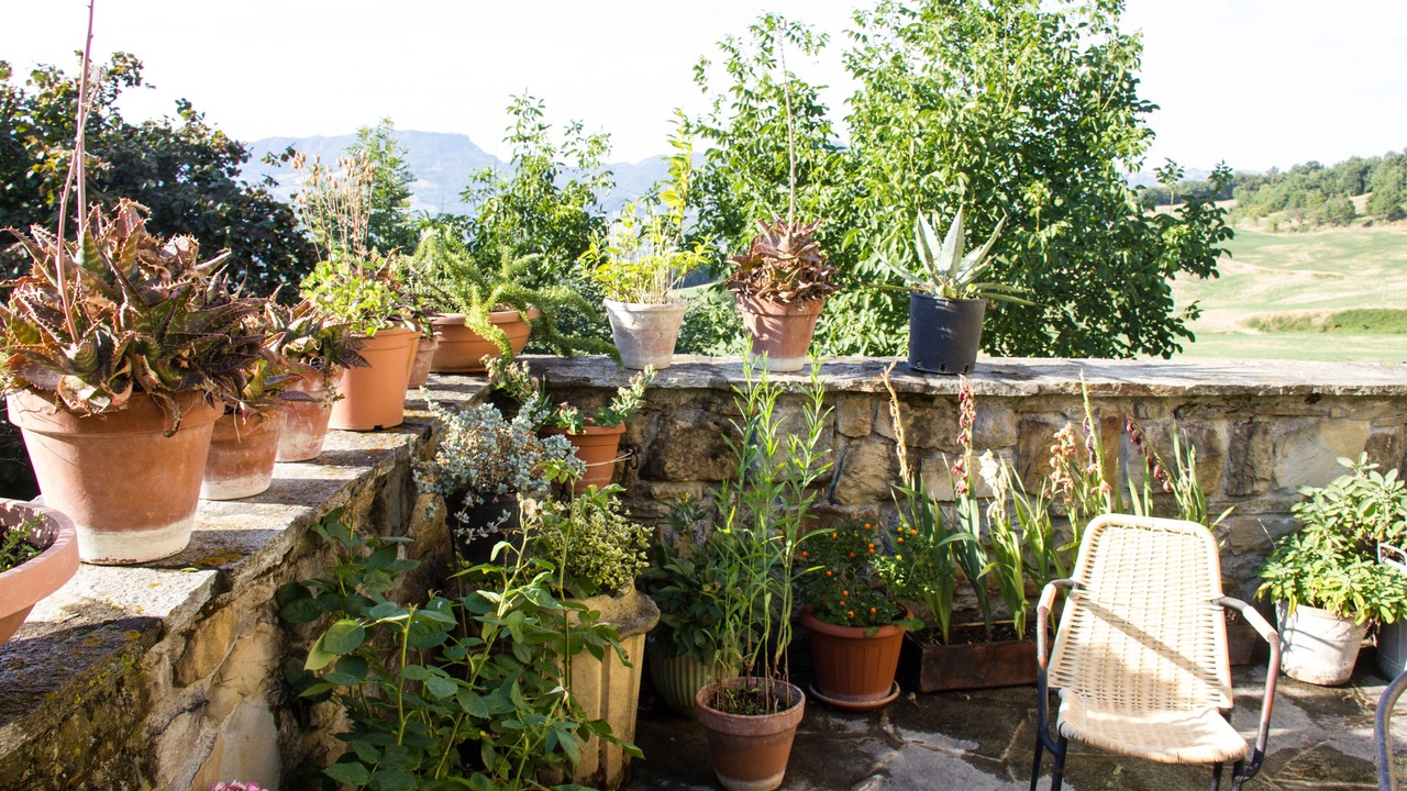 Photo of Patio Balcony in Toano