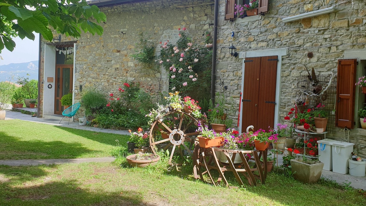 Photo of Outdoor in Toano