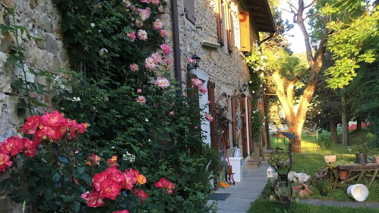 Photo of Outdoor in Toano