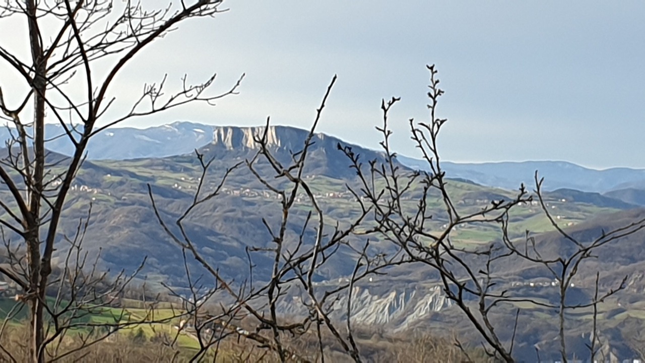 Photo of Outdoor in Toano