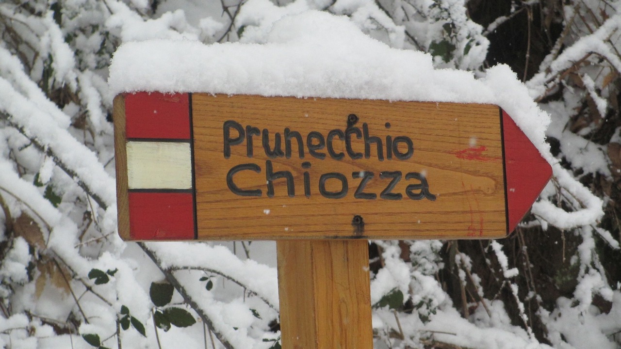 Photo of Others in Castiglione di Garfagnana