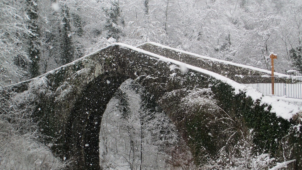 Photo of Others in Castiglione di Garfagnana