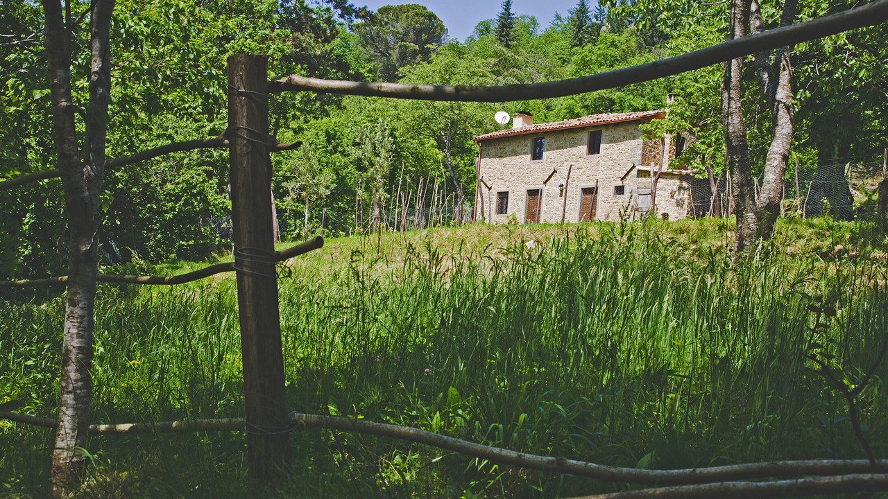 Photo of Others in Castiglione di Garfagnana