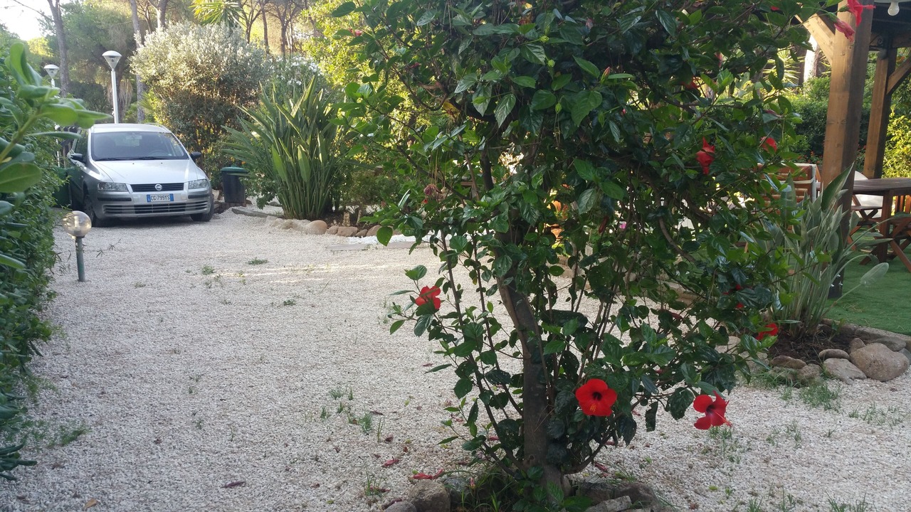 Photo of Outdoor in Santa Margherita di Pula