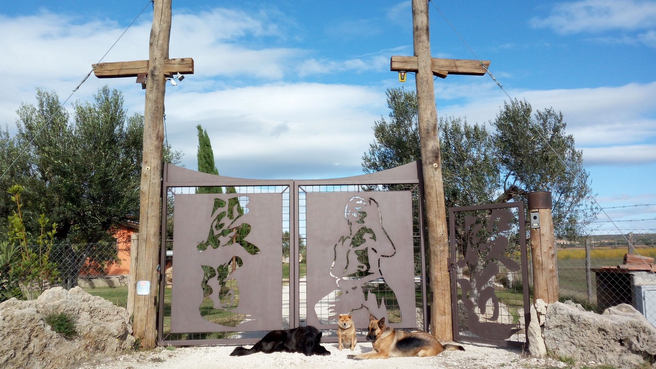 Photo of Outdoor in Canino