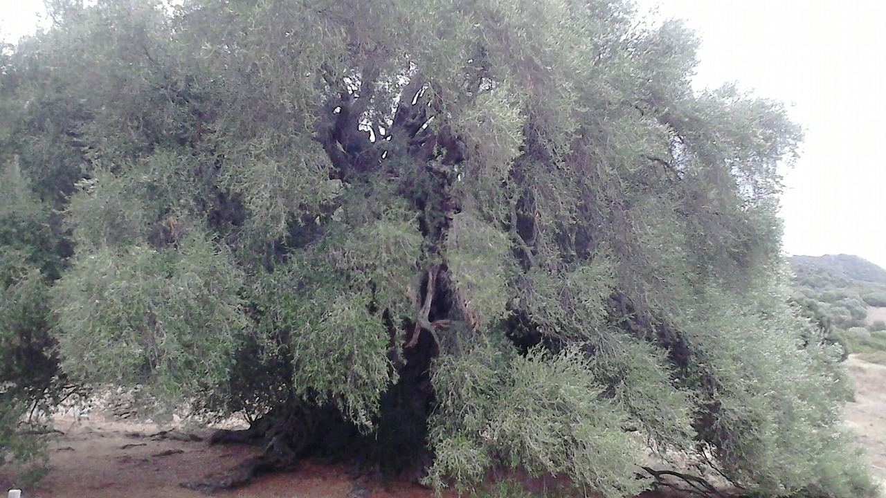 Photo of Outdoor in Porto Pozzo