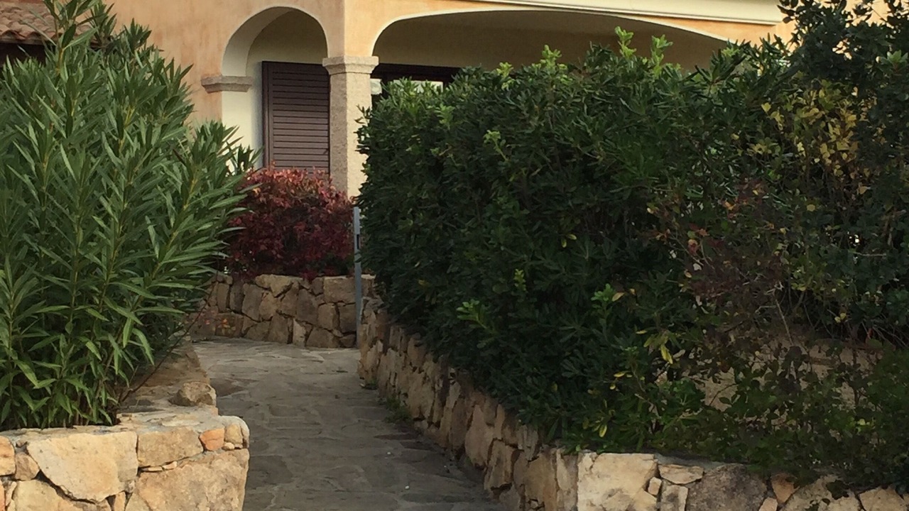 Photo of Outdoor in Budoni