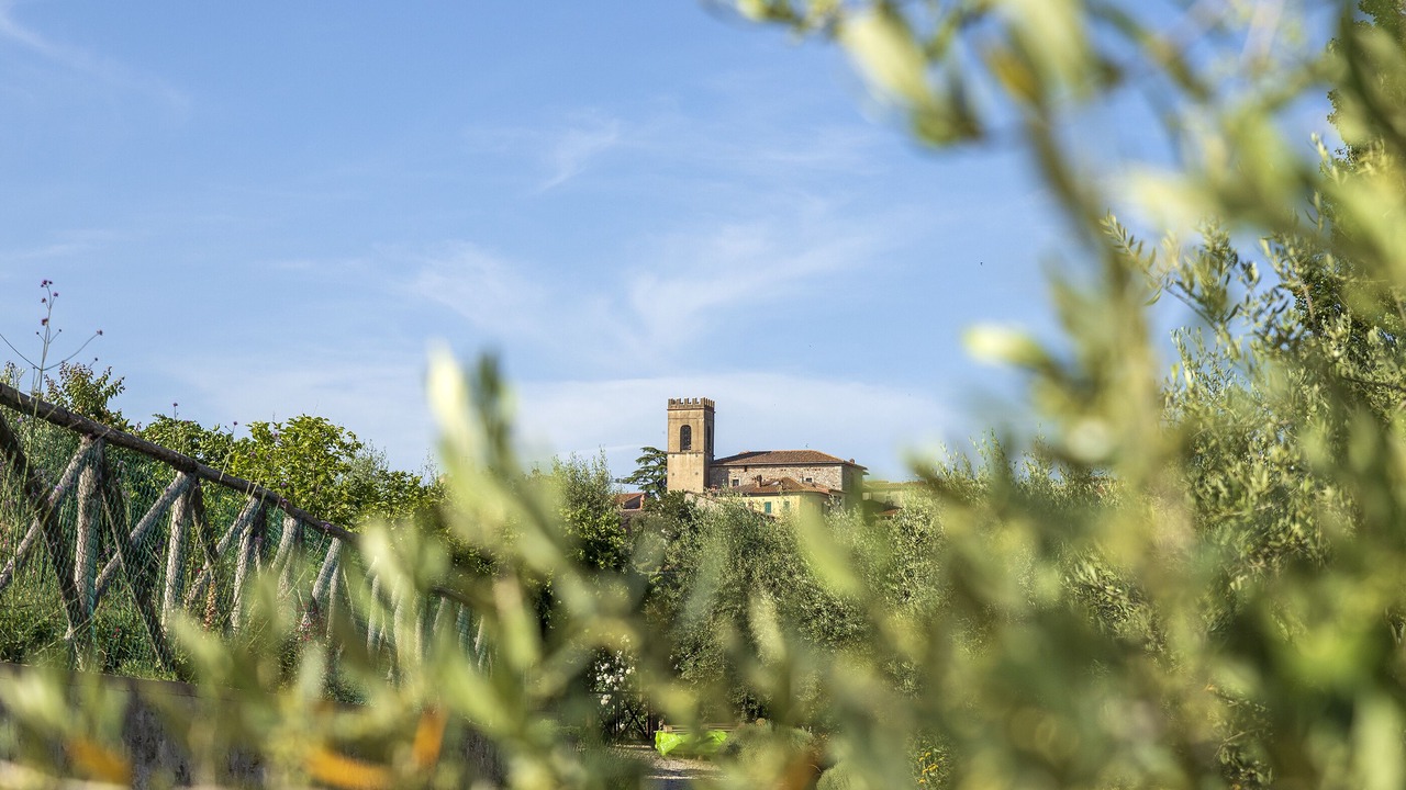Photo of Outdoor in Avigliano Umbrio