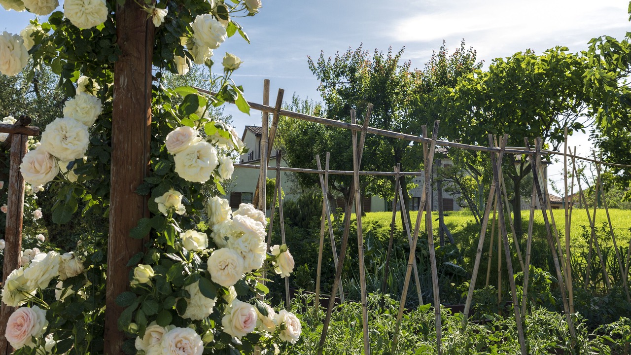 Photo of Outdoor in Avigliano Umbrio