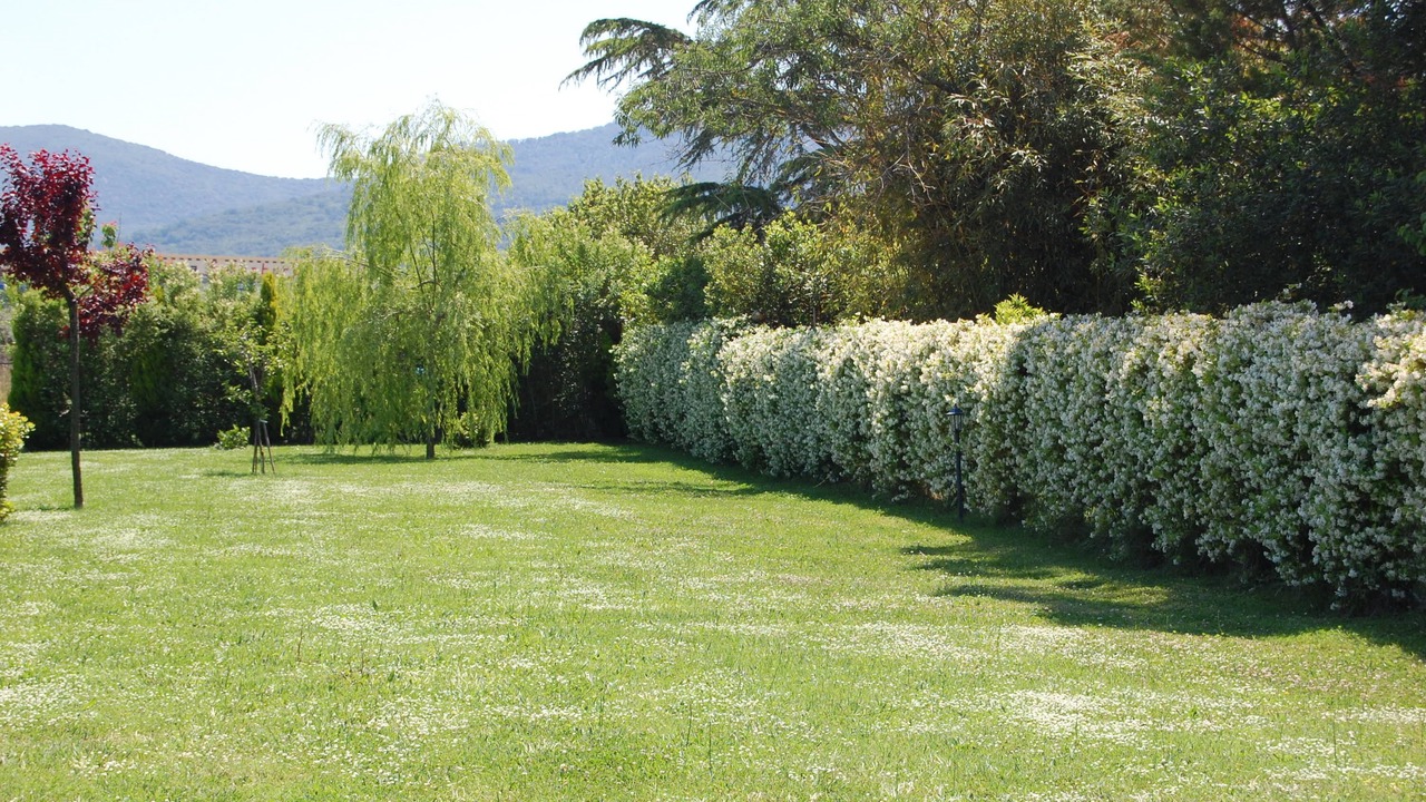 Photo of Outdoor in Scarlino