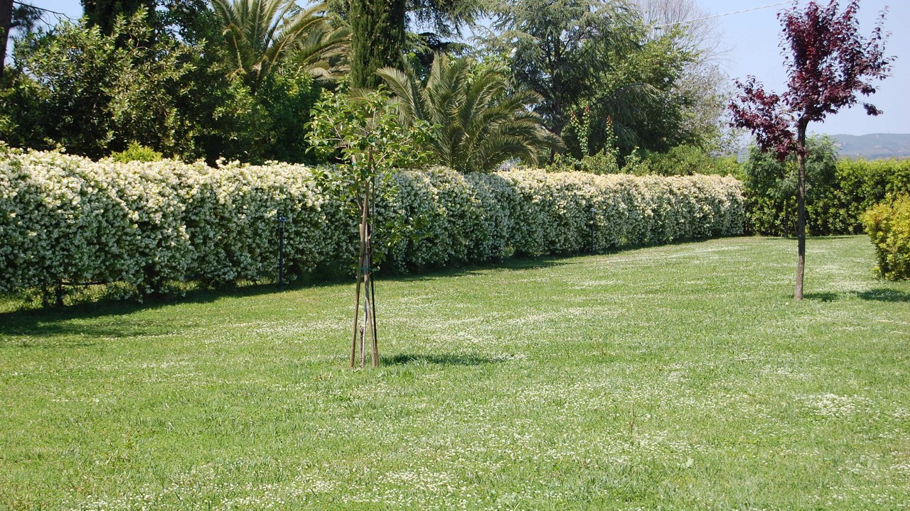 Photo of Outdoor in Scarlino