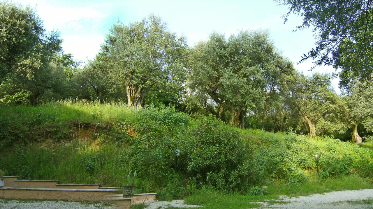 Photo of Outdoor in Palombara Sabina