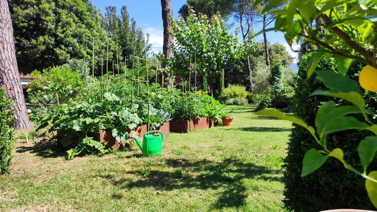 Photo of Outdoor in Subbiano