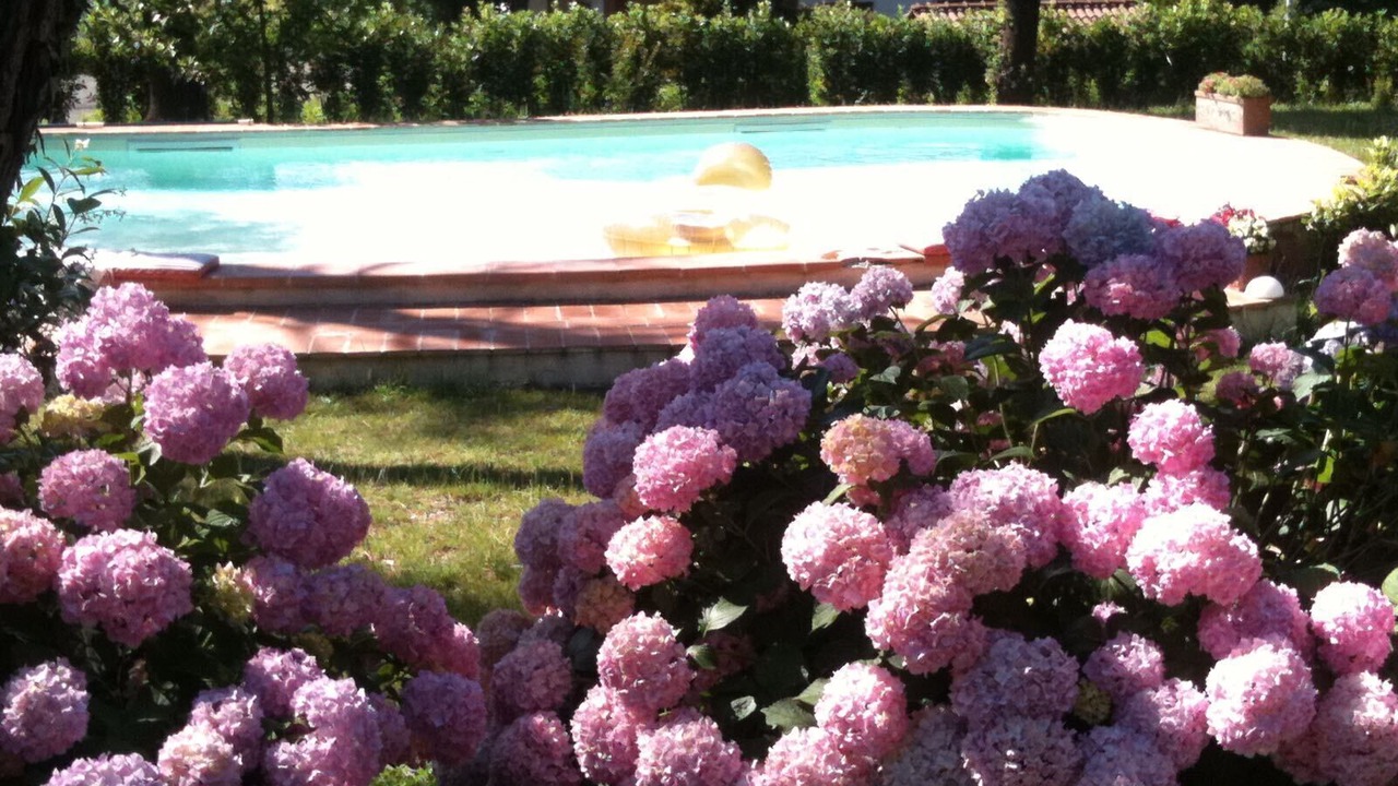 Photo of Outdoor in Subbiano