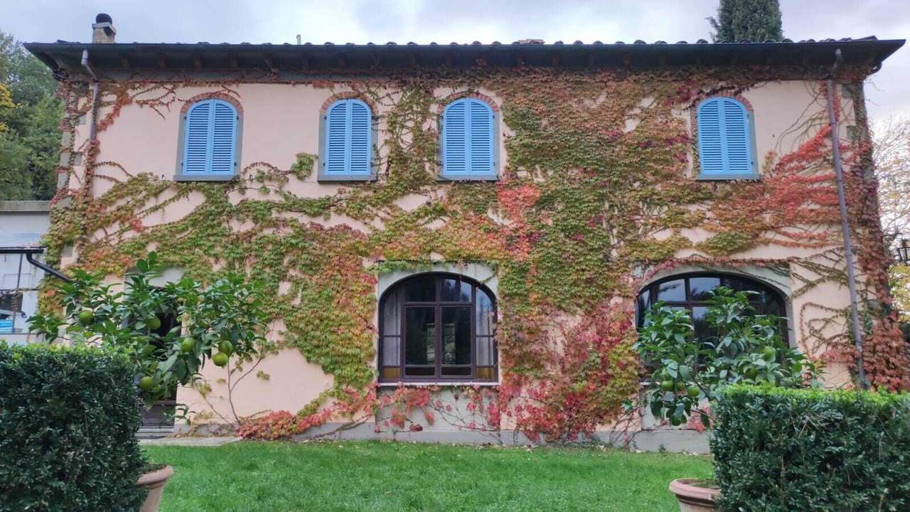 Photo of Outdoor in Subbiano