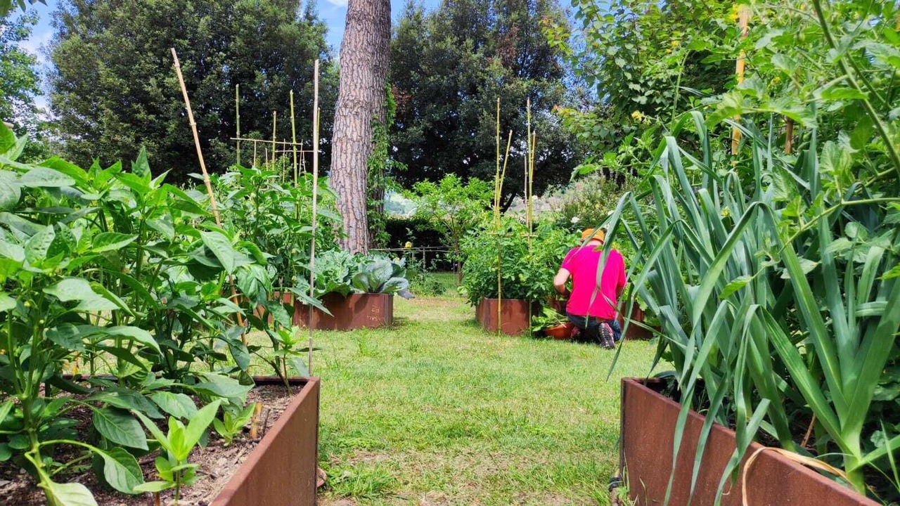 Photo of Outdoor in Subbiano