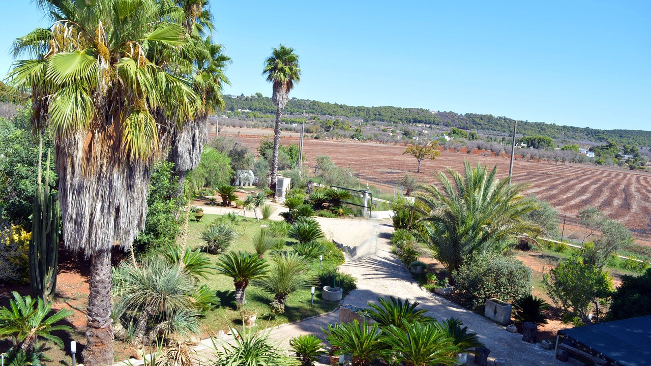 Photo of Outdoor in Casarano