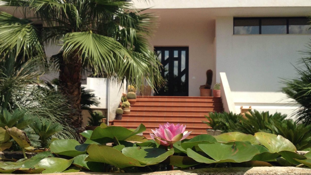 Photo of Outdoor in Casarano