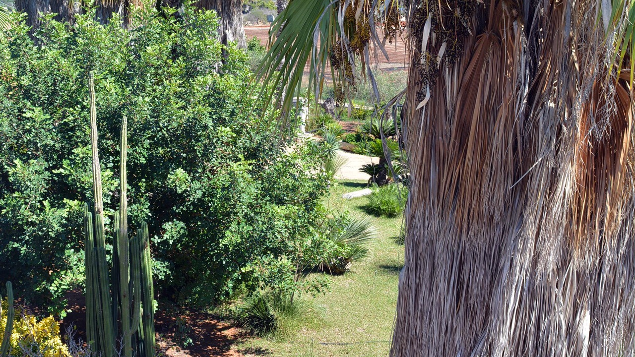 Photo of Outdoor in Casarano